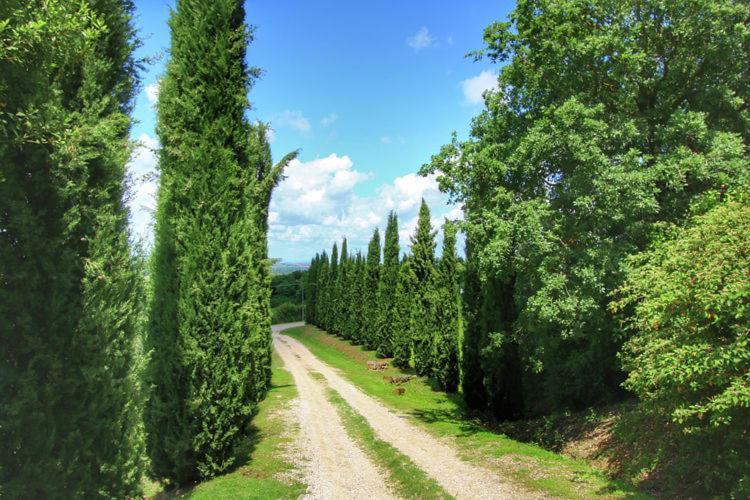Podere Il Tigliolo カスティリオーネ・ドルチャ エクステリア 写真